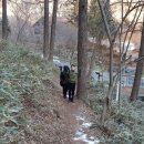 최북미술관김환태문학관 이미지