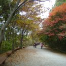 11/11 광주 북구 무등산(서석대 1,100m)산행 안내 이미지