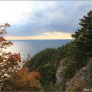 태하모노레일 이미지