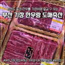 [기장한우맛집] 기장 정관 고기집 추천 한우랑 도매축산 프리미엄 한우 후기 기장정관 놀이방있는식당