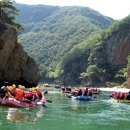 동강의 향기 이미지