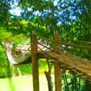 강변자전거길(북) 이미지