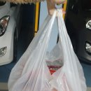 주정차단속-128 이미지