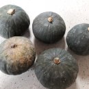 오림농장 이미지