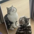 토실 토실 이미지