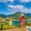 동해시-31 이미지