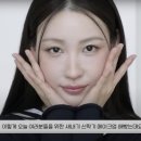 새내기투