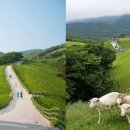 풍전목장 이미지