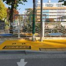 횡단보도옐로카펫 이미지