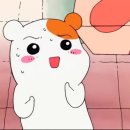 돈당 이미지