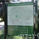 보타니칼 이미지