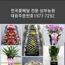 전몰군경유족회 안양시지회 이미지