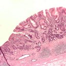 화생약국 이미지