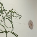 무왕로25길 이미지