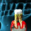 나루동물병원 이미지