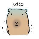 리버스의원 네이버블로그