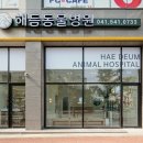 친절한 동물병원 이미지