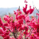 별빛담은펜션 이미지