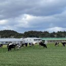 한아름목장 이미지