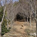 탄도 섬마을 이미지