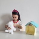 코코자.렉스 | 원앤원 헬로펫 말하는 아기비숑 아기애착인형 추천