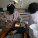 내양초등학교 이미지