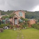 꽃피는 담석정 이미지