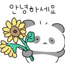 울랄라빈대떡
