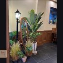 수원-1639 | <수원 맛집 추천> 아늑 수원 아늑, 가성비 좋은 이탈리안