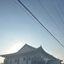 백억커피석촌고분점 | [담양 맛집 멋집] 쌍교숯불갈비 본점 보통/매운 돼지갈비 (광주 근교 봉산면)