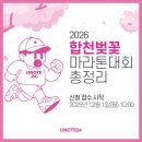 자양벚꽃100리길 | 2026 합천벚꽃마라톤대회 총정리 | 벚꽃 폭발 코스