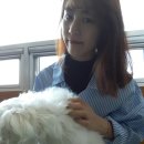 룰루네 식탁 이미지