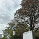 호옹스튜디오 이미지