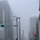 원중약국 | 대만 여행에 곁들인 7월 일상