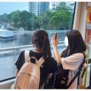 (주)에이넷시스템 | 2026 여름방학 영어캠프 말레이시아 필리핀 호주 총정리(ft.에이워크유학원)