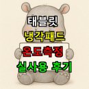 펀스로틀 | 태블릿 냉각패드 진짜 효과있을까? 온도측정 실사용 후기