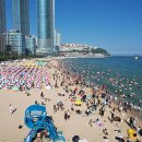 송정1천 이미지