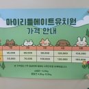 마이리틀메이트 네이버블로그