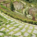 체육공원 가족휴게공원 이미지