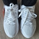 18 | [제품후기] 러닝 초보의 입문 운동화로 추천 나이키 보메로 18 내돈내산 후기