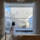 삼박한집 이미지