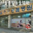 남서울동물병원 티스토리