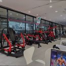 업프로짐 이미지