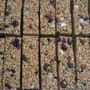 휴팩토리 이미지