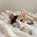 늘푸른빨래방 이미지