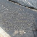 그늘과 빛의 기억  이미지