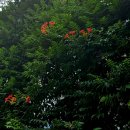 풍납중학교 이미지