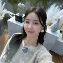 티에스엠(TSM) 이미지