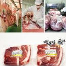 (주)제주백록담 이미지