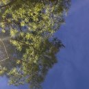 청춘유도관 구미점 이미지